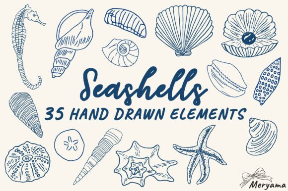 Integrating Hand Drawn Summer Seashell SVG PNG Assets into Your Creative Workflow